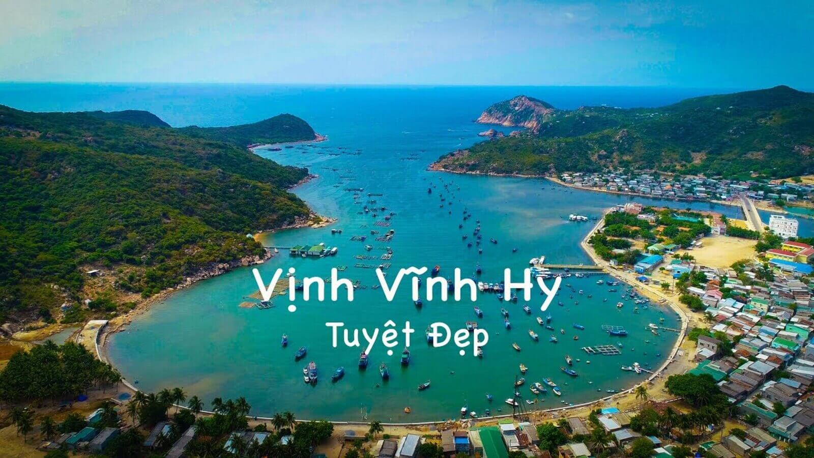 vịnh vĩnh hy, taxi vĩnh hy