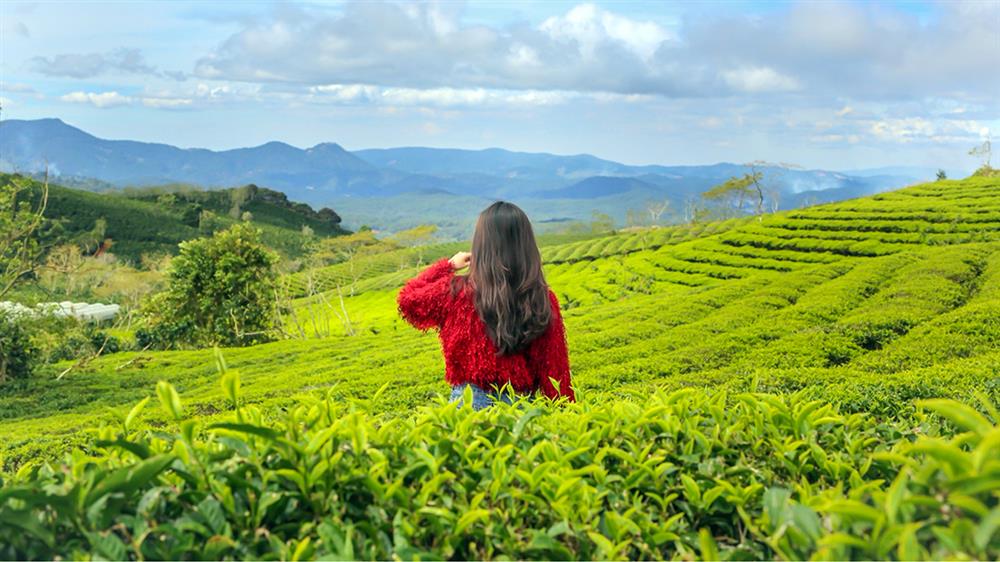 Thuê xe Phan Rang đi Đà Lạt Thuê xe du lịch đi Đà Lạt ngay